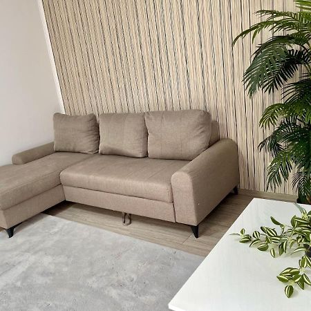 טימישוארה Cosy Place To Stay מראה חיצוני תמונה