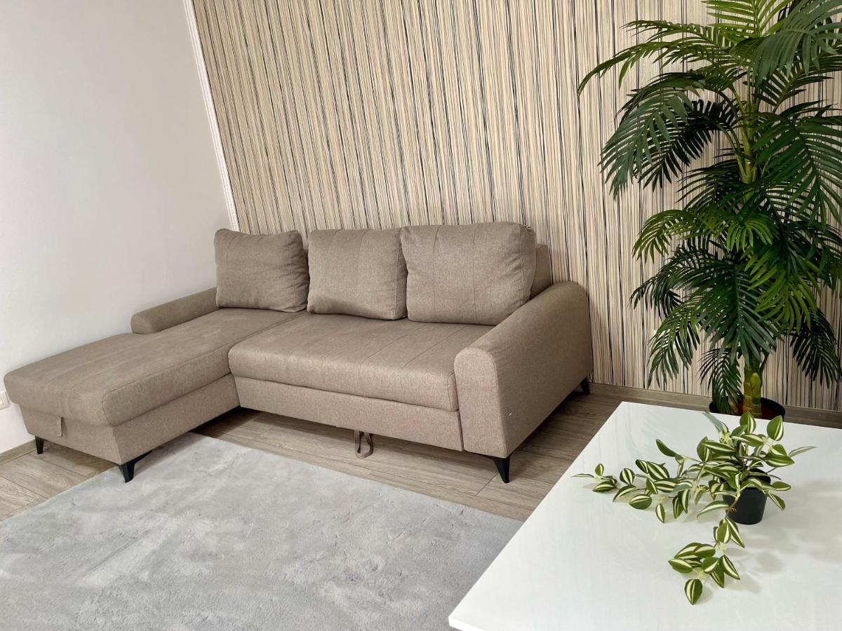 טימישוארה Cosy Place To Stay מראה חיצוני תמונה